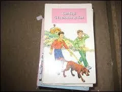 Est-ce Enid Blyton qui a écrit "Le clan des sept" ?