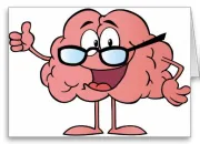 Quiz Dix vrais ou faux sur notre cerveau