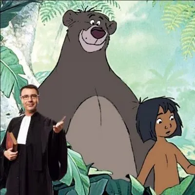 Quelle est la bonne expression ? Indice : La loi du plus fort.