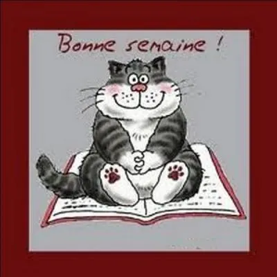 Quelle est la bonne expression ? Indice : Sans réflexion préalable, ambition ou vision à long terme.