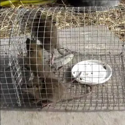 Quelle est la bonne expression ? Indice : Être dans une situation sans issue.