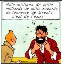 Bon c'est une des expressions du capitaine Haddock : "Tonnerre de Brest ! " mais d'où vient cette expression ?