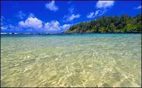 Et celui-là est à :