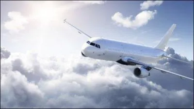 Qui ne fait pas le tour en avion ?