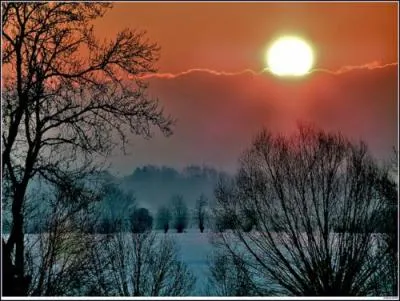 Qui a écrit "Le soleil se lève aussi" ?