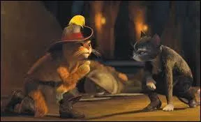 Dans le film d'animation "Le chat Potté", comment s'appelle la chatte dont est amoureux le héros ?