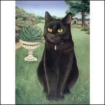 Quelques vers d'un poème, à vous de trouver l'auteur.
" les amoureux fervents et les savants austères/ Aiment également, dans leur mûre saison/ Les chats puissants et doux, orgueil de la maison/ Qui comme sont frileux, et comme eux sédentaires".