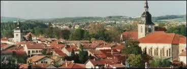 La ville lorraine de Rosières-aux-Salines se situe dans le département ...