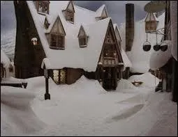 Quel nom est donné au village dans la version originale de la saga ?