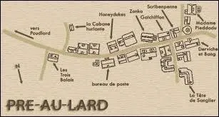 À partir de quelle année les élèves peuvent-ils aller plusieurs fois par an à Pré-au-Lard ?