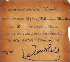Dans le sixième volet de la série, pour le tournage, de la neige a été déposée au village. Quel objet a permis ce dépôt ?