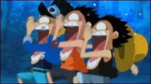 L'ordre des plus forts d'entre eux était :