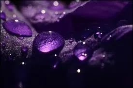 Concernant les résistances électriques, quel chiffre correspond au violet ?