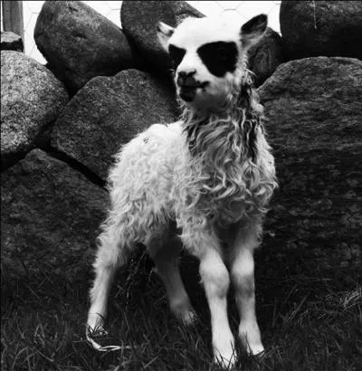 Trouvez le nom d'un personnage Disney, vampirisé par un trio d'humoristes français !