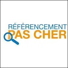 Quelles sont les 4 voitures utilisées lors des épreuves " Une stars dans une voiture petit budget" ?