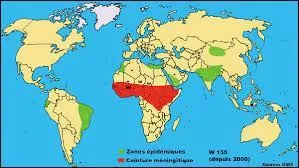 Par quelle bactérie la méningite cérébro-spinale épidémique est-elle provoquée ?