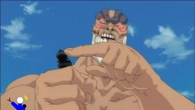 - Attendez avant de l'achever, j'aimerais être éclairci : j'ai entendu dire que vous aviez deux rangs, est-ce vrai ?