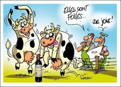 Si vous n'arrivez plus à aligner deux mots pour répondre à ce quiz :