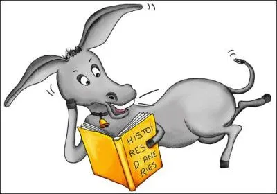 Vous n'avez rien compris à mon quiz ?