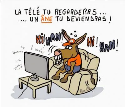 Si vous ne comprenez rien à ce que je vous dis :