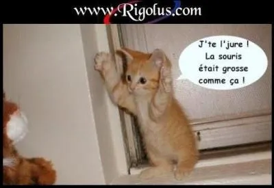 Je me fiche de vos vilains smileys, je suis la meilleure auteure sur Quizz Biz, j'ai un quiz qui frise les 6 étoiles, avec 950 médailles d'or, et même une de diamant !