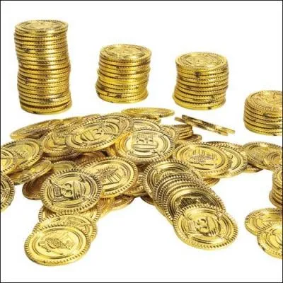 Qui a financé en grande partie le canal du Midi ?