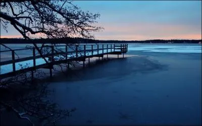 Ceux qui ont l'habitude de dormir la nuit ont tendance à avoir envie de...
