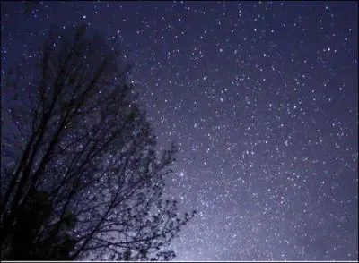 Contrairement à ce qu'on pourrait penser, seulement 20% des cambriolages en France se déroulent...