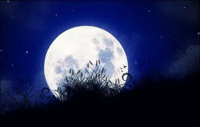 Mon ami dit : "S'il fait nuit au Brésil, c'est qu'il fait forcément nuit en Nouvelle-Calédonie." A-t-il raison ?