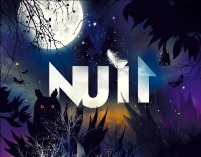 Et nous sommes aussi passionnés par la nuit, je peux vous le démontrer. D'après vous, qu'est-ce que les humains ont créé en rapport avec la nuit ?