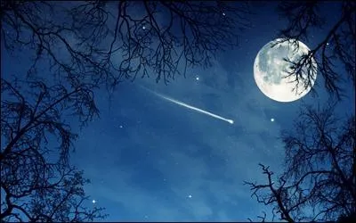 Mais comme nous l'avions évoqué plus tôt, la nuit reste "vivante". Effectivement, ...