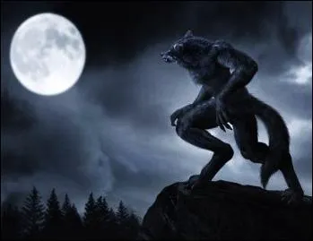 On raconte que certains êtres humains sont comme les autres le jour mais la nuit, ils se transformeraient en animaux semblables à des loups. Comment sont appelés ces êtres ?