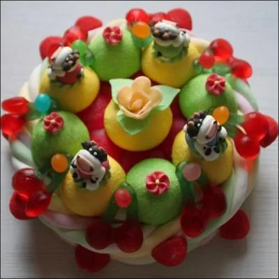 Magnifique gâteau d'anniversaire, mais que sont ces petits animaux qui le décorent admirablement ?