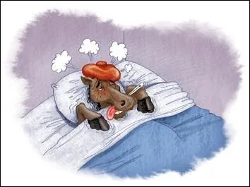 Que vous dire de plus concernant son état de santé ?