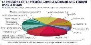 Qu'est-ce que la BPCO ?