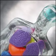 Où est située votre plèvre ?