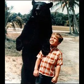 La série s'appelle :