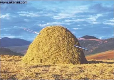 Tu n'auras pas besoin de chercher longtemps !