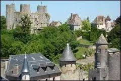 Bourbon-l'Archambault est une ville d'histoire et une station thermale. Dans quel département se trouve cette ville ?