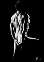 Quelle est la science qui traite des muscles ?