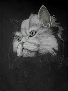 Quelle affirmation etait exacte au Moyen Age ?