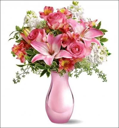 Sport. Appareil développant les muscles :