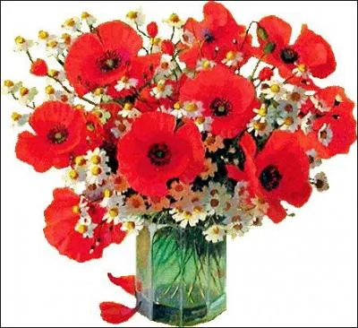 Ablation, arrachage, naissance, origine :