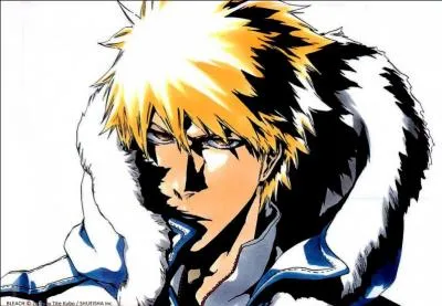 Comment s'appelle l'appareil que Hiyori Sarugaki utilise pour entrainer Ichigo Kurosaki ?