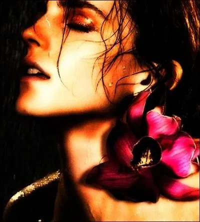 Par le biais de la psychanalyse, J.K. Rowling aborde le thème de la sexualité féminine encore inaccessible (pour les jeunes sorciers). Quel terme employé dans les livres y fait référence ?