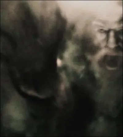 Sa voix ressemble à « un vieil aspirateur essoufflé » et il a l'air « d'une vieille tortue toute ridée ». Qui suis-je ?