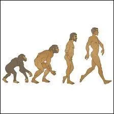 Quel terme latin est à l'origine du mot "origine" ?