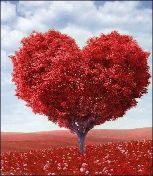 "Vole, vole mon amour..."