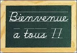 En général, quand je vous dis "bienvenu(e)" c'est pour accueillir une personne.
