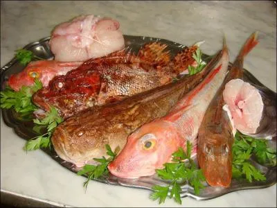 Pour la réussir, ces poissons sont indispensables, si de plus vous vous procurez des cigales de mer, c'est le summum !